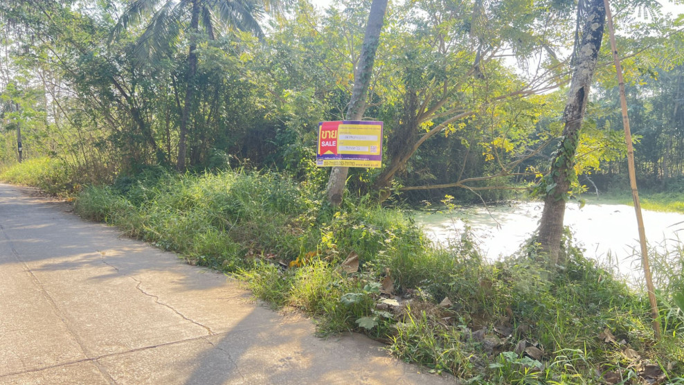 Residential land/lot Phayao Dok Khamtai Don Si Chum 3900000