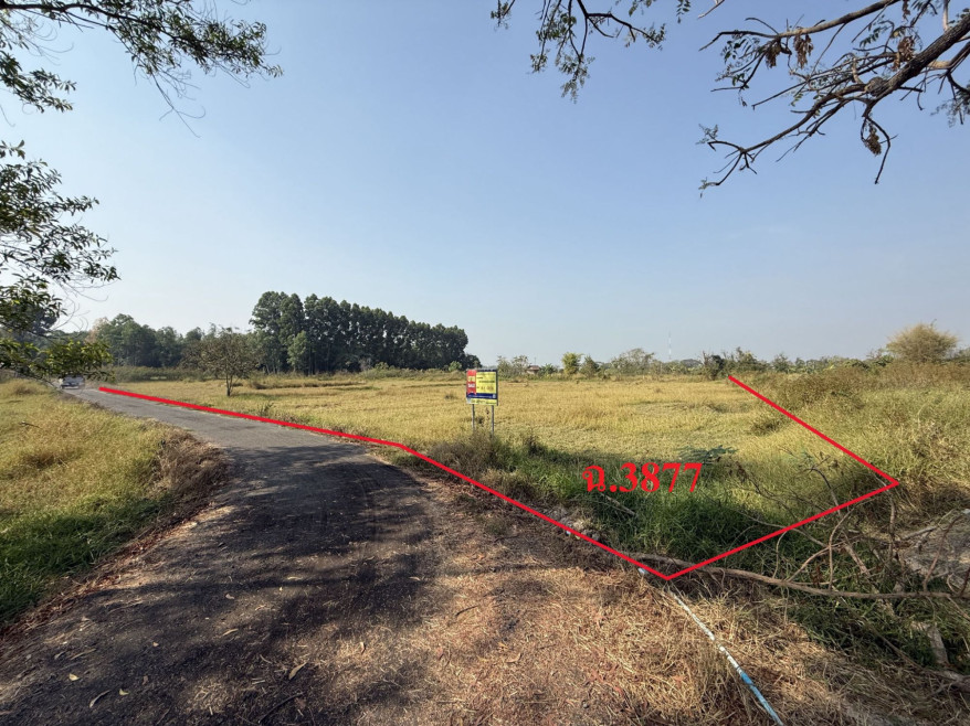Residential land/lot Saraburi Wihan Daeng Nong Suang 3963000