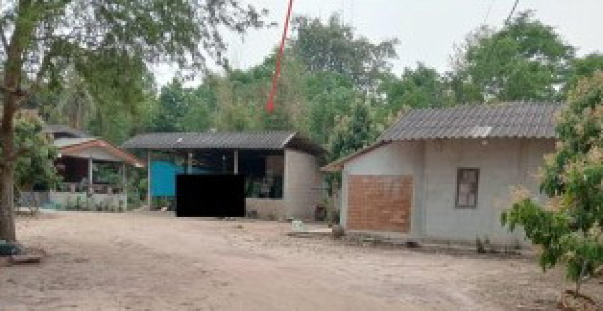 บ้านเดี่ยว เชียงใหม่ ไชยปราการ หนองบัว 985815