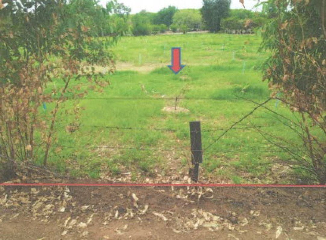 Residential land/lot Roi Et Mueang Suang Nong Hin 174042