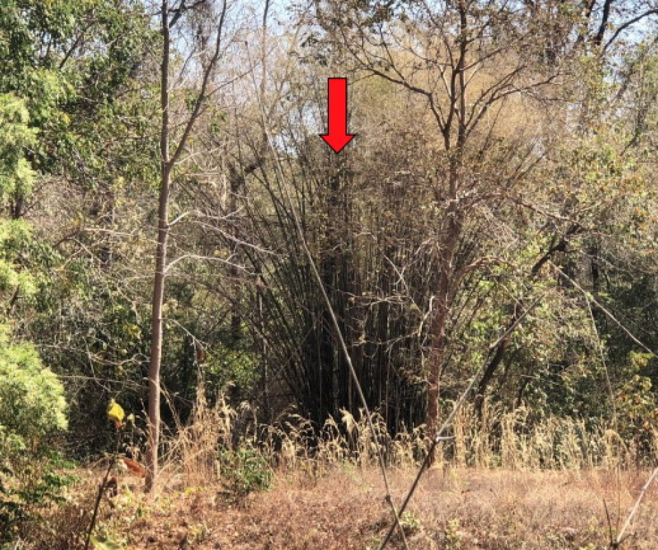 Residential land/lot Roi Et Chaturaphak Phiman Hua Chang 276510