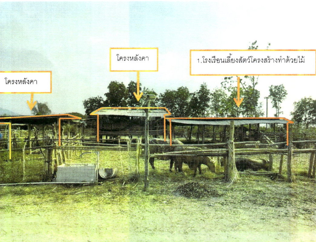 บ้านเดี่ยว อุตรดิตถ์ น้ำปาด เด่นเหล็ก 267311
