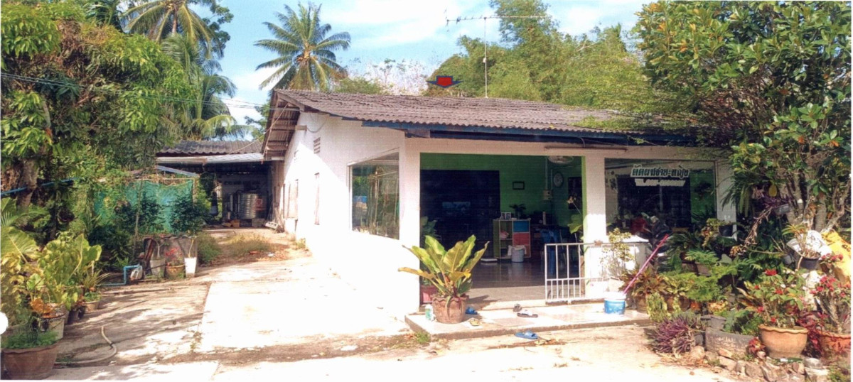 บ้านเดี่ยว ตรัง กันตัง ควนธานี 1696275