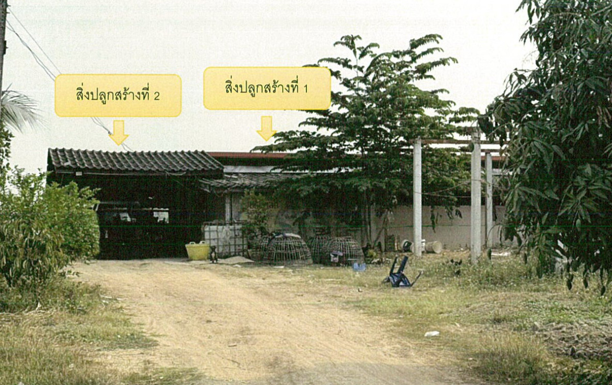 บ้านเดี่ยว เชียงราย พาน หัวง้ม 1686060