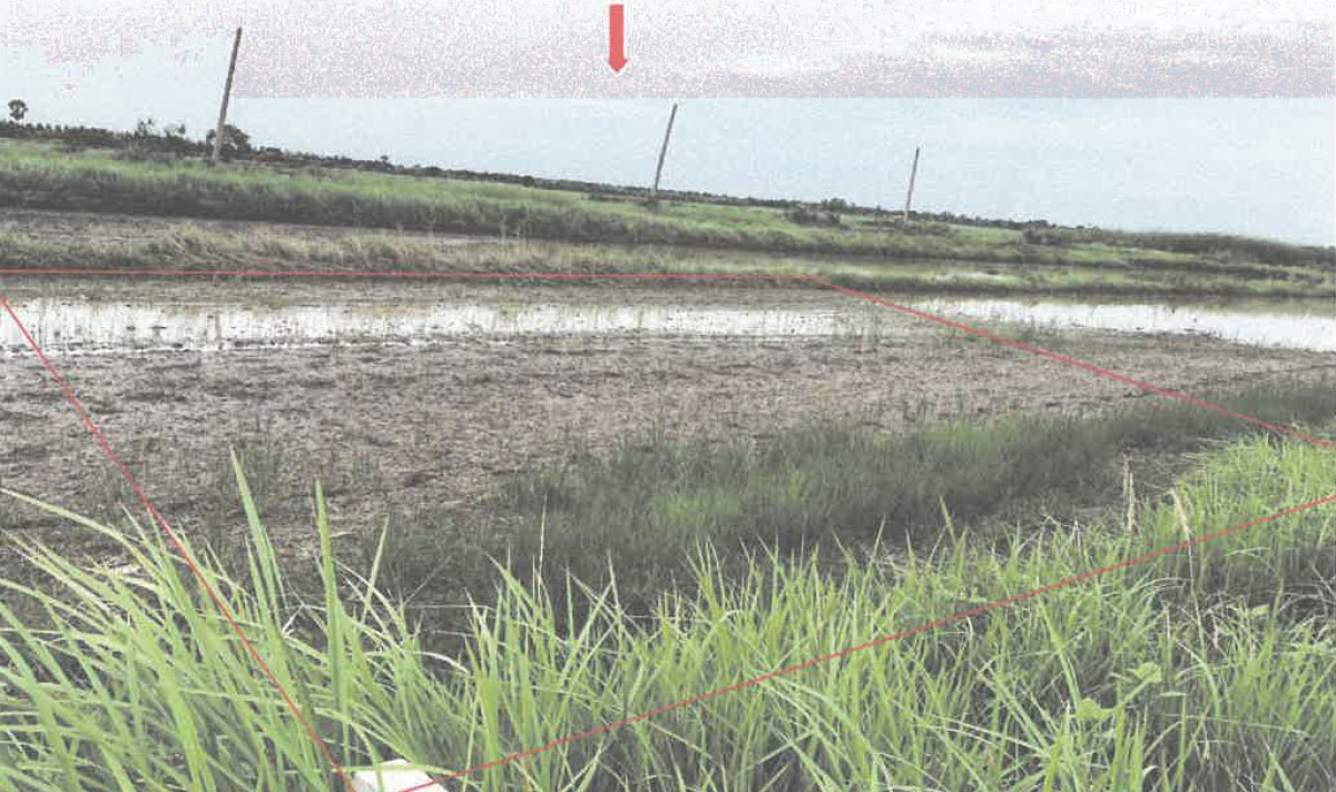 Residential land/lot Nakhon Nayok Ongkharak Sisa Krabue 50000
