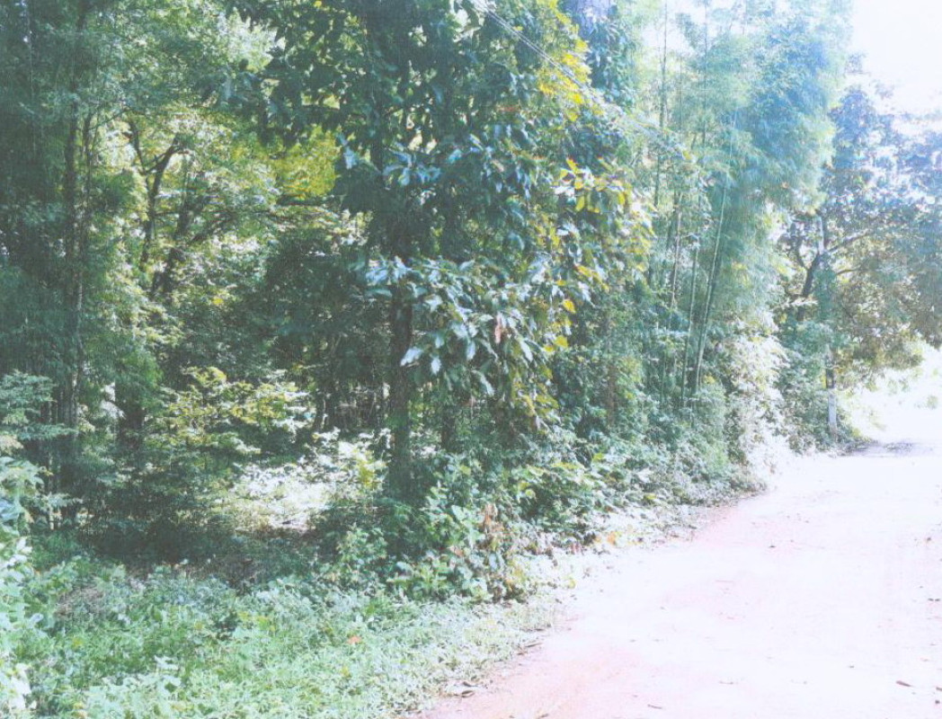 ที่ดินเปล่า ร้อยเอ็ด พนมไพร ชานุวรรณ 178500