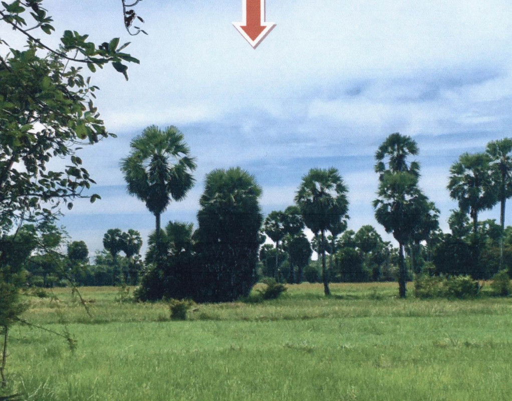 Residential land/lot Songkhla Sathing Phra Khu Khut 500700