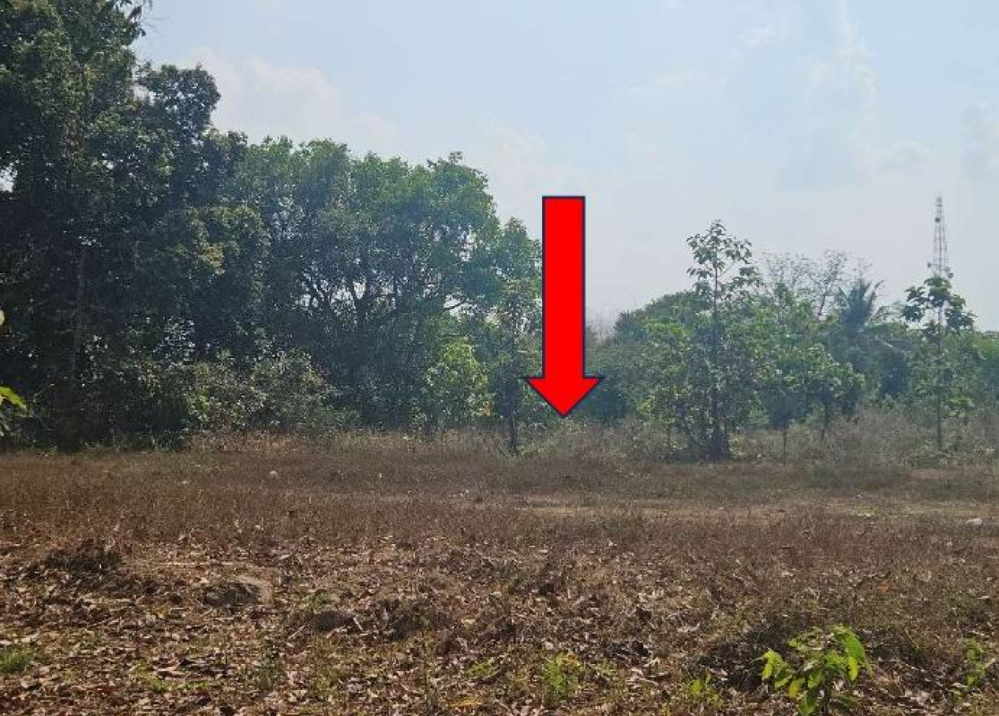ที่ดินเปล่า อำนาจเจริญ เมืองอำนาจเจริญ บุ่ง 324700