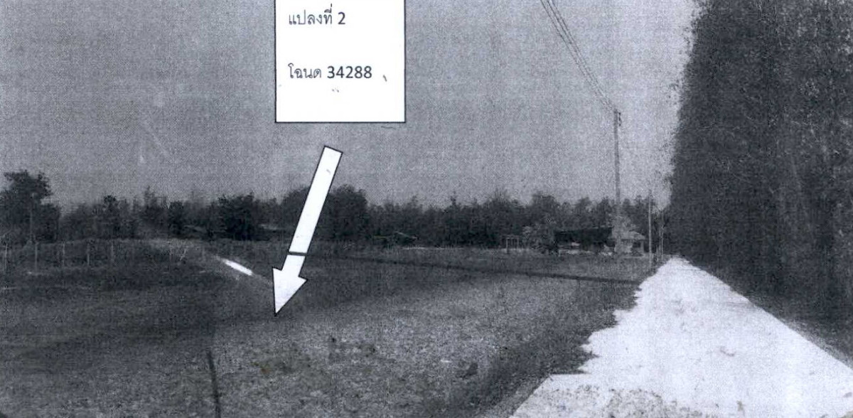 ที่ดินเปล่า เพชรบุรี เขาย้อย หนองชุมพลเหนือ 400000
