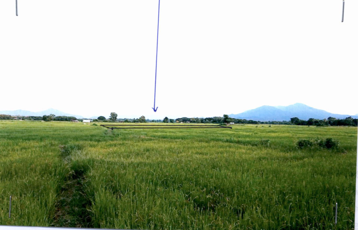 ที่ดินเปล่า ลำปาง เสริมงาม เสริมซ้าย 40050
