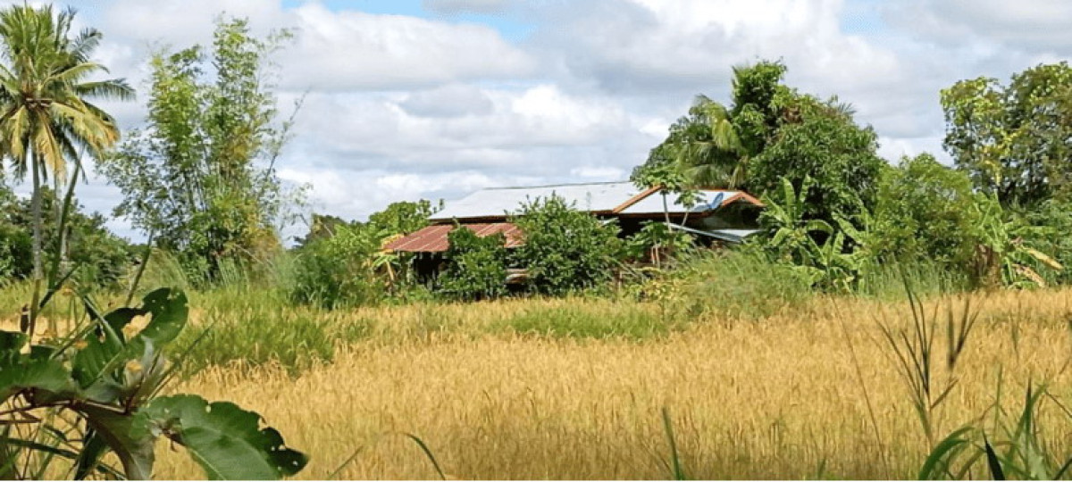 Single house Ubon Ratchathani Phibun Mangsahan Rai Tai 1174690