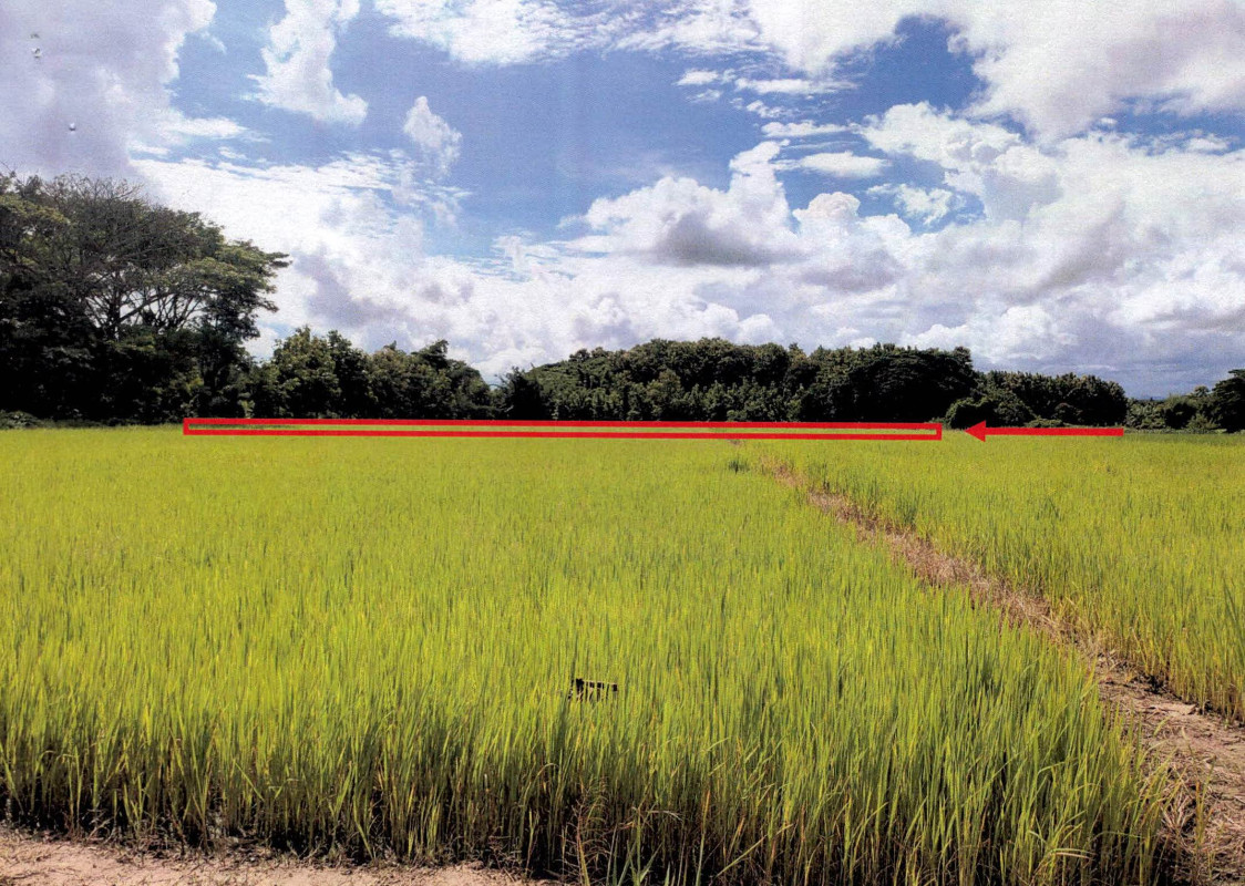 Residential land/lot Lampang Ngao Ban Haeng 197700