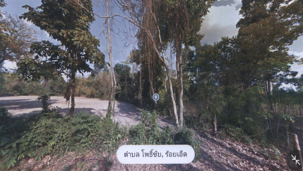 ที่ดินเปล่า ร้อยเอ็ด พนมไพร โพธิ์ชัย 441000