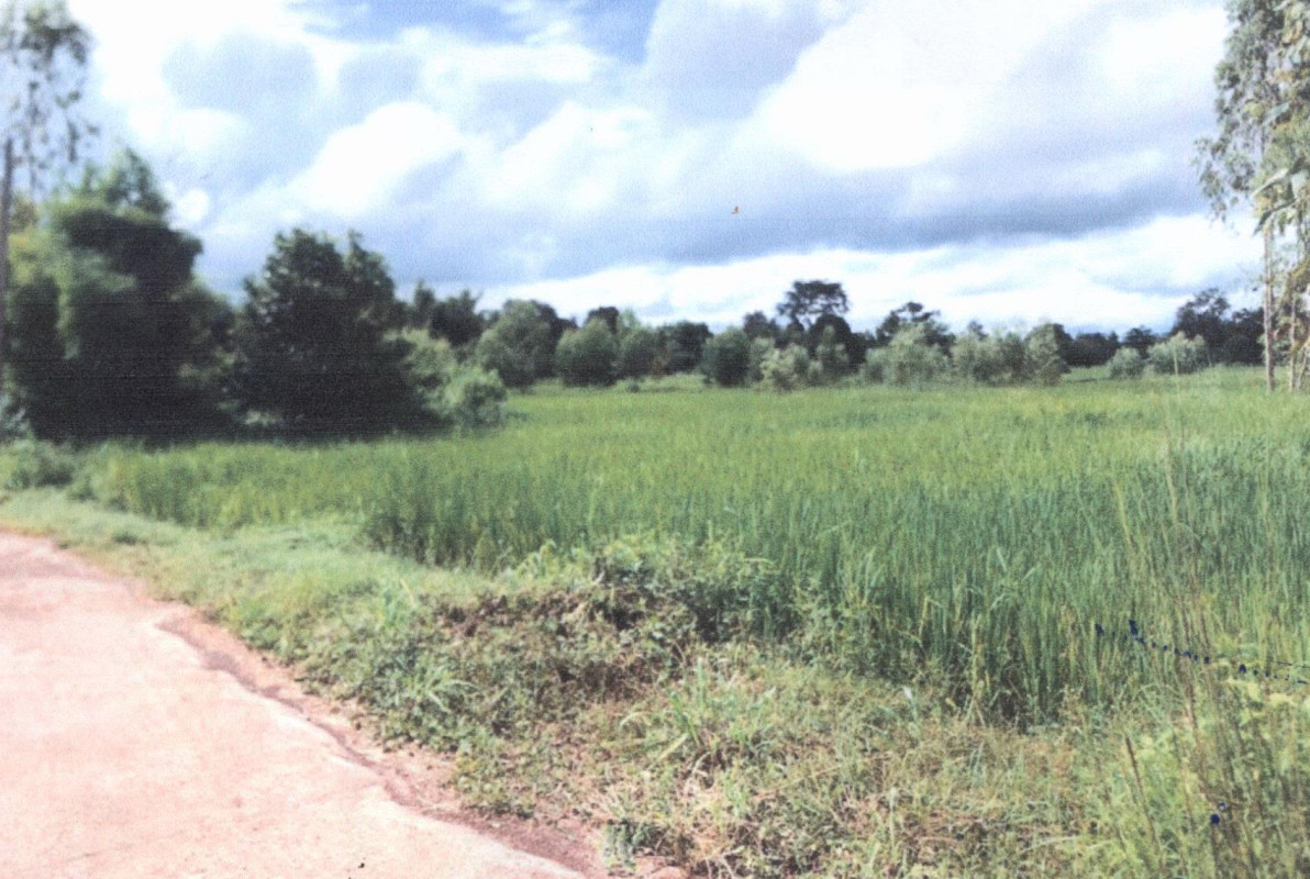 ที่ดินเปล่า อุบลราชธานี ตาลสุม ตาลสุม 1015612