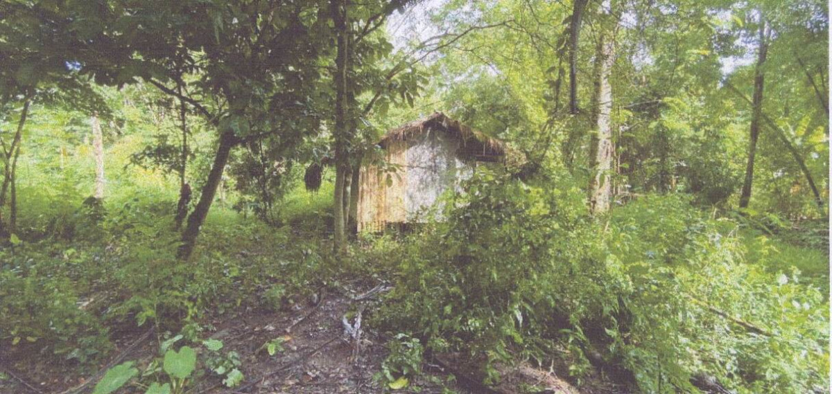 บ้านเดี่ยว เชียงราย เวียงเชียงรุ้ง ดงมหาวัน 118960