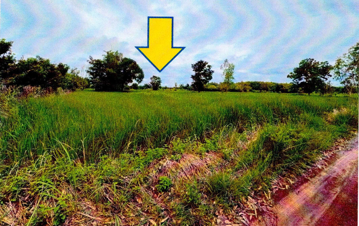 Residential land/lot Buogkan Pak Khat Nong Yong 583280