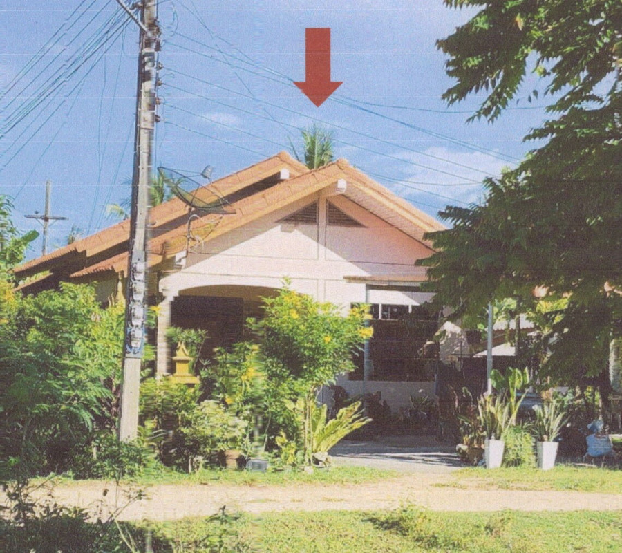 บ้านเดี่ยว สงขลา สิงหนคร ชิงโค 936488