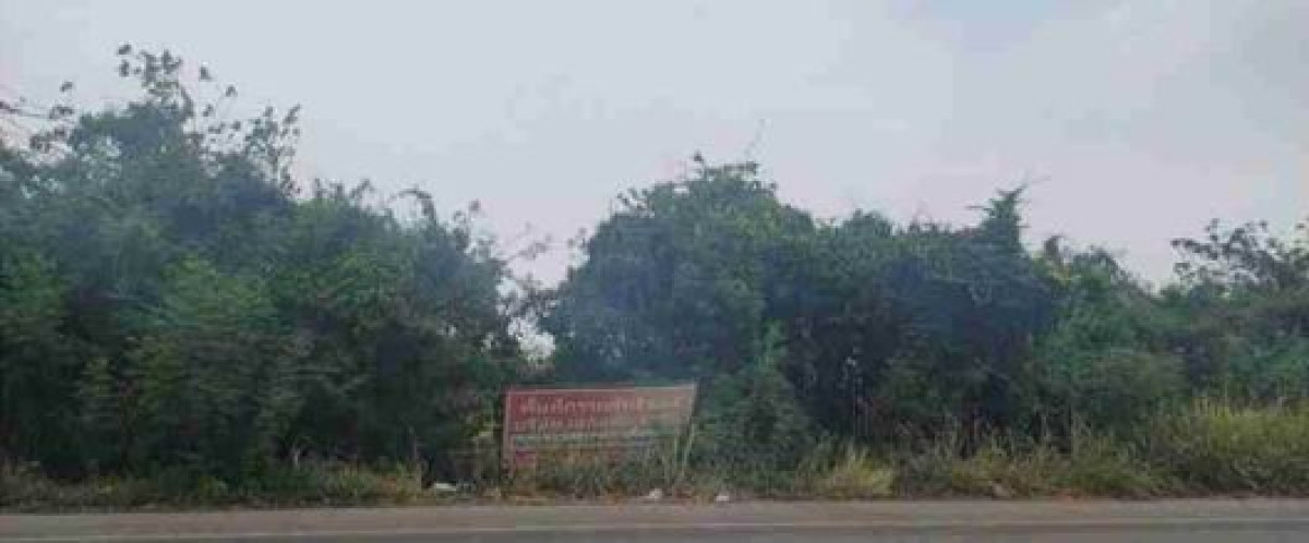 ที่ดินเปล่า เพชรบูรณ์ ศรีเทพ คลองกระจัง 1352430