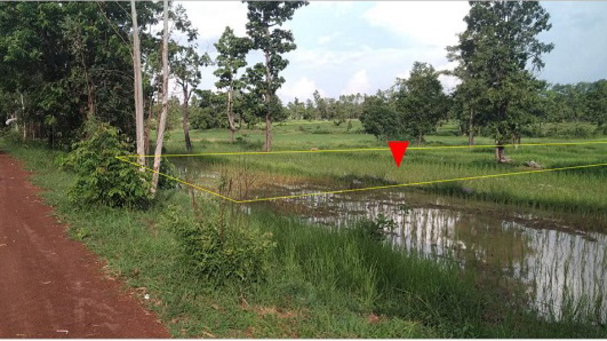 Residential land/lot Nakhon Phanom Wang Yang Khok Si 172900