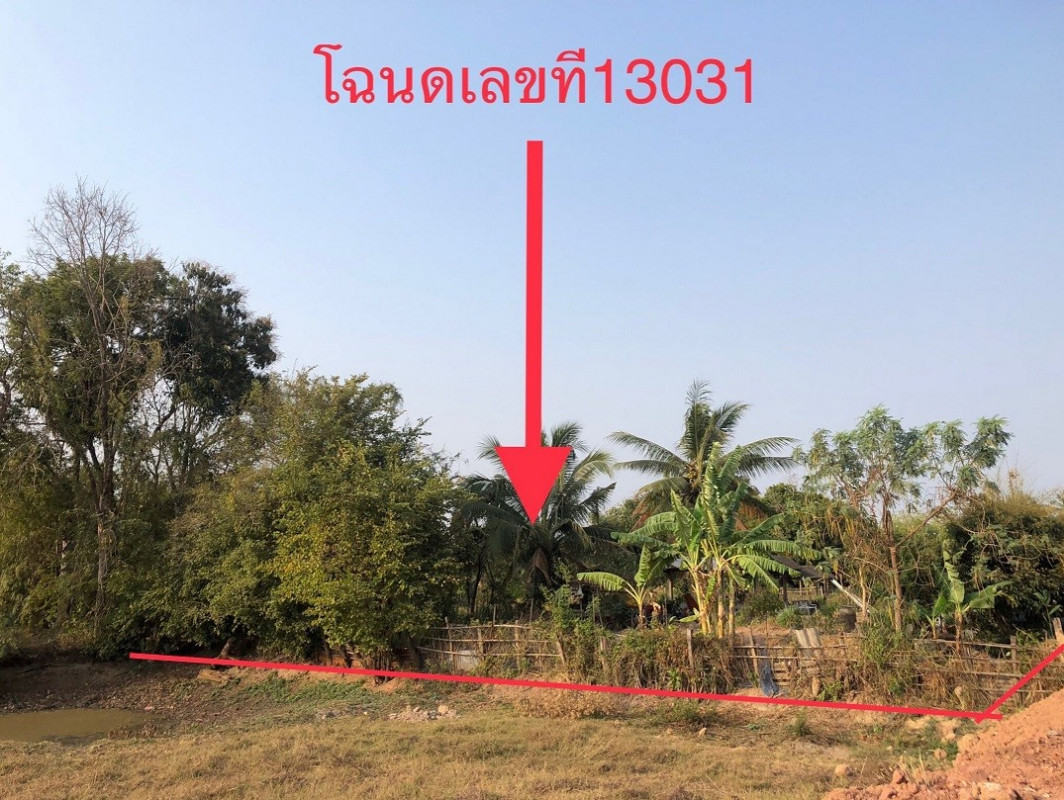 ที่ดินเปล่า สกลนคร พังโคน ม่วงไข่ 59750