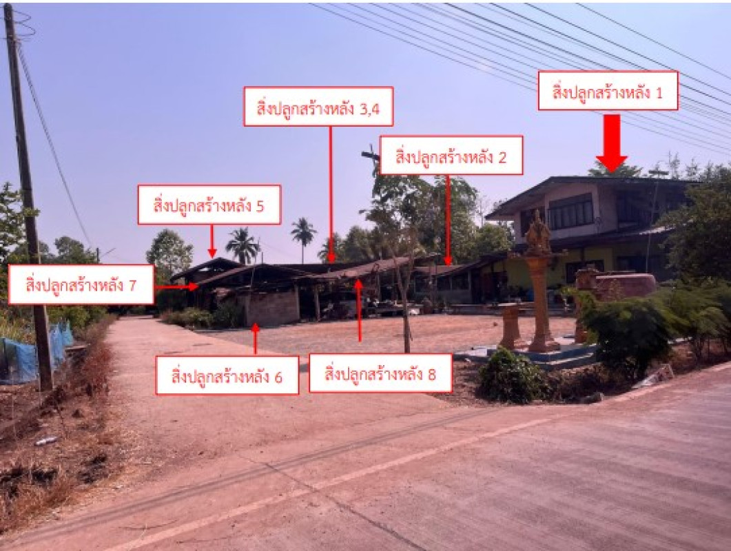 บ้านเดี่ยว พิษณุโลก พรหมพิราม ดงประคำ 816355