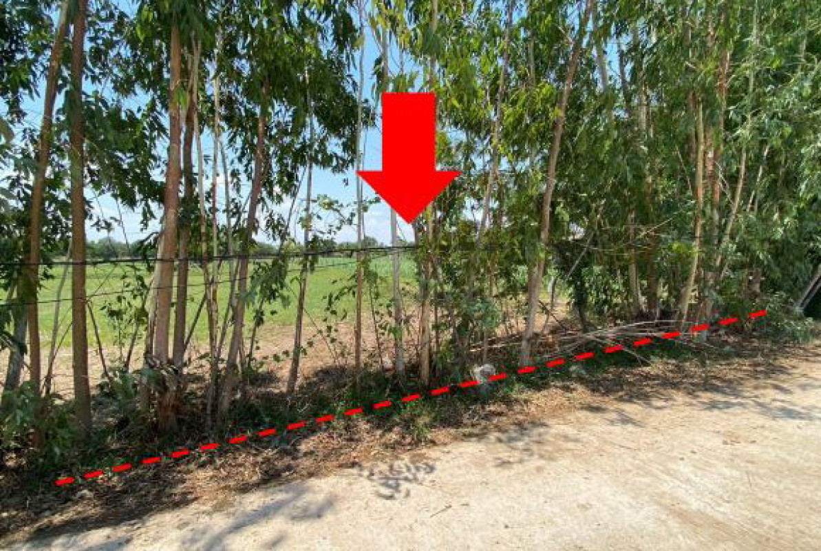 Residential land/lot Roi Et Pathum Rat Bua Daeng 104000