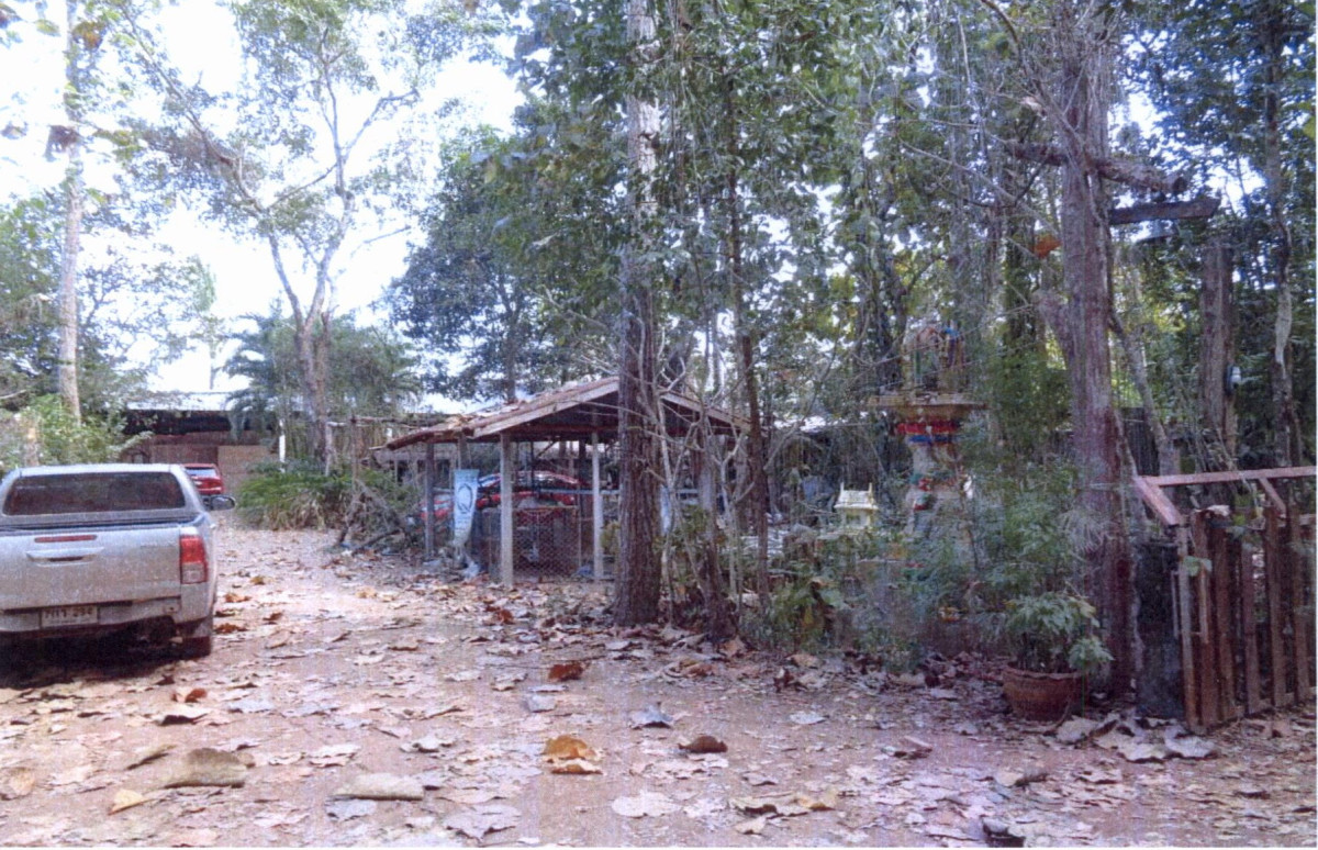 บ้านเดี่ยว นครพนม วังยาง ยอดชาด 1052865