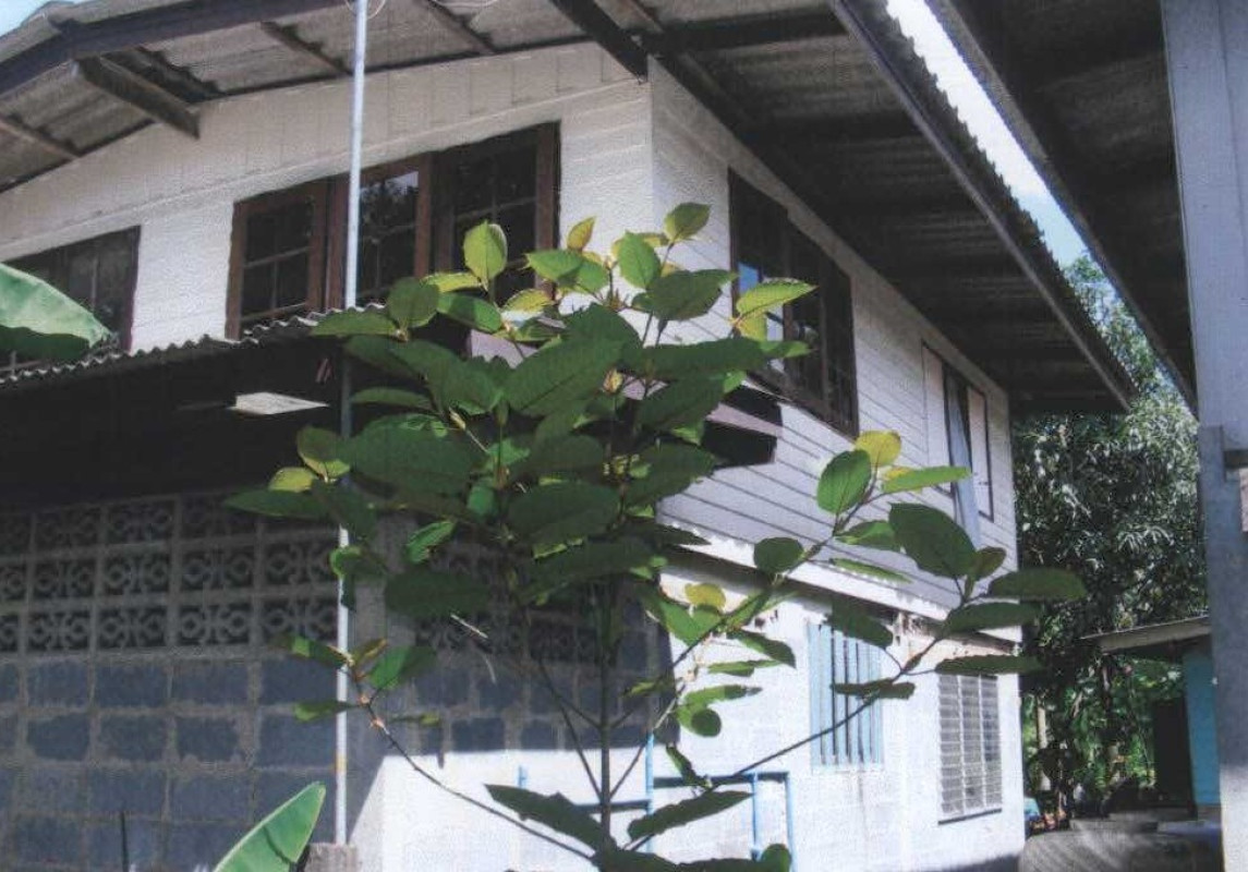 ทาวน์เฮ้าส์ นนทบุรี เมืองนนทบุรี ไทรม้า 1549500