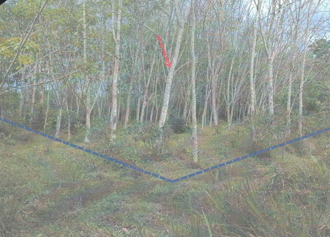 Residential land/lot Nakhon Si Thammarat Thung Song Khao Ro 570900