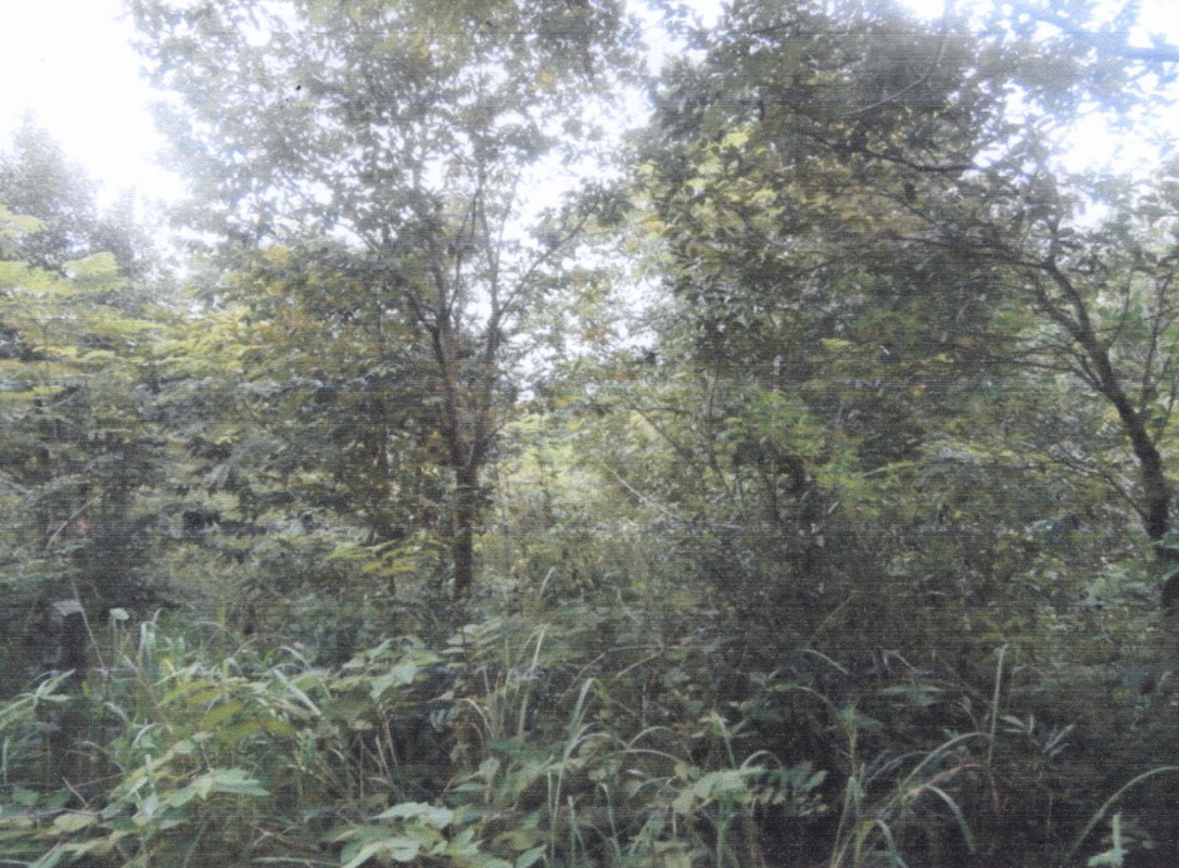 Residential land/lot Ubon Ratchathani Sawang Wirawong Tha Chang 50000