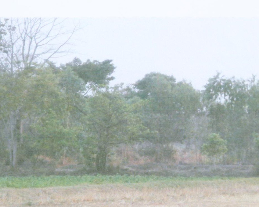 Residential land/lot Roi Et Chaturaphak Phiman Nam Sai 428250