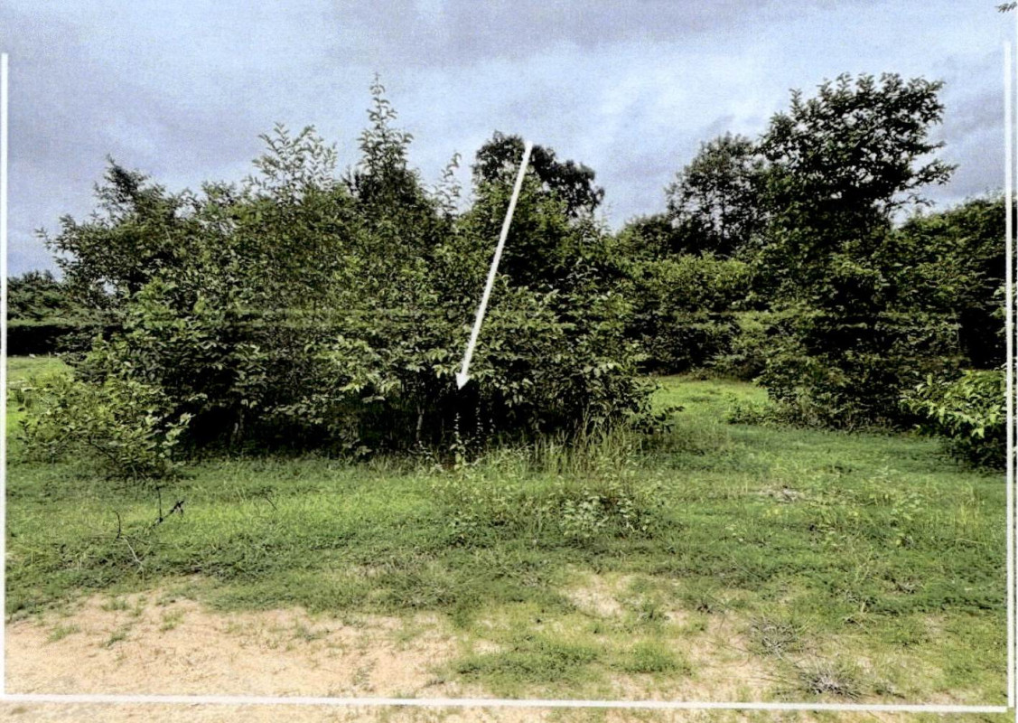 Residential land/lot Lampang Thoen Mae Wa 116900