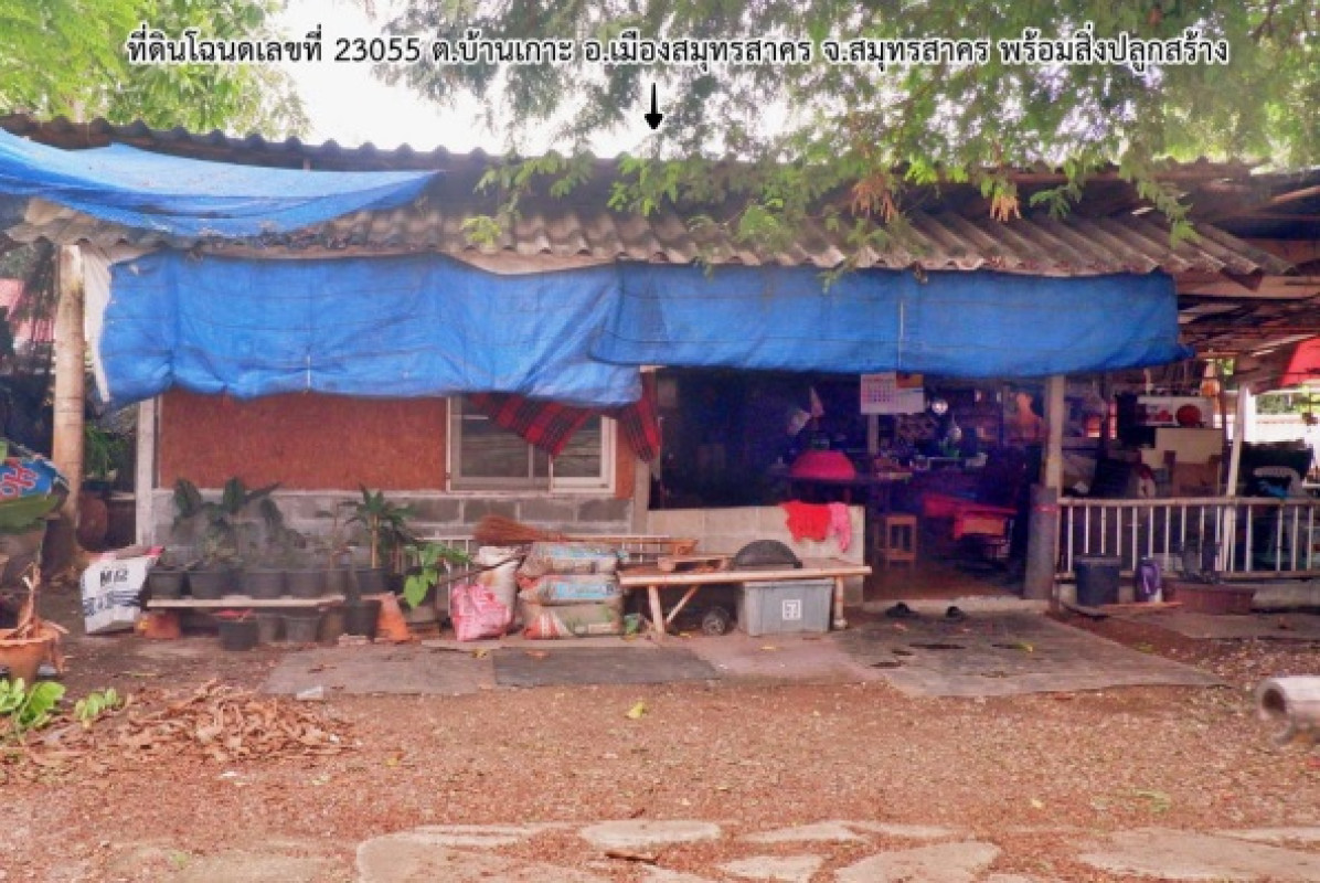 บ้านเดี่ยว สมุทรสาคร เมืองสมุทรสาคร บ้านเกาะ 563958