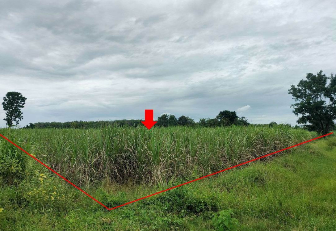 Residential land/lot Nakhon Ratchasima Dan Khun Thot Phan Chana 312720