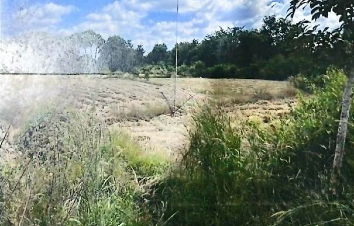 Residential land/lot Ubon Ratchathani Trakan Phuet Phon Na Phin 87048