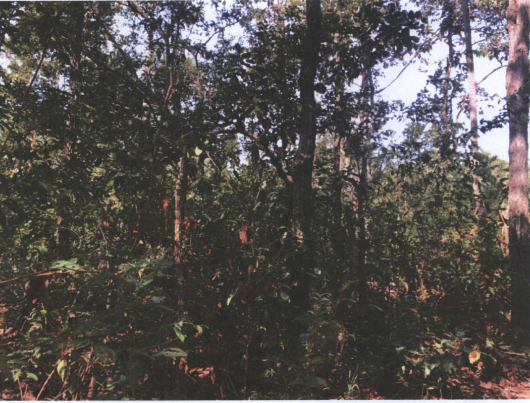 Residential land/lot Nakhon Phanom Tha Uthen Chai Buri 22500