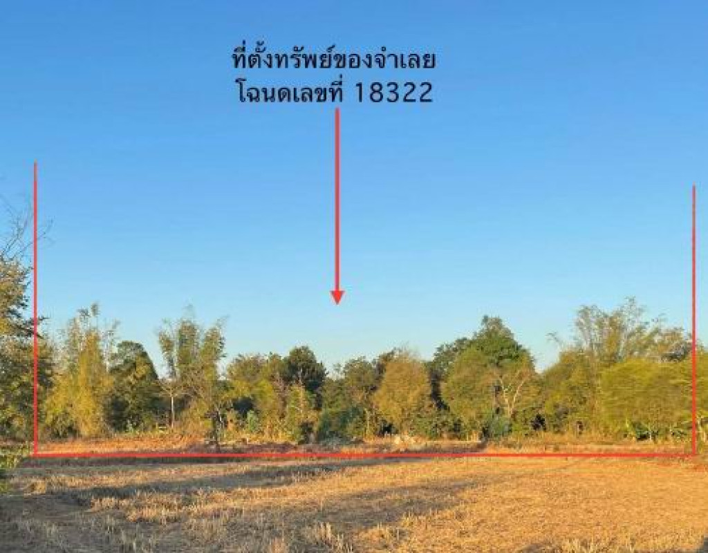 ที่ดินเปล่า อุบลราชธานี กุดข้าวปุ้น หนองทันน้ำ 267600