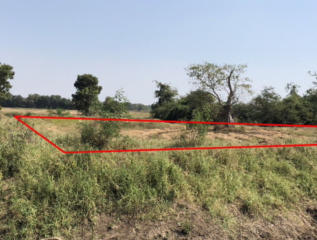 Residential land/lot Ratchaburi Ban Pong Nong Pla Mo 133500
