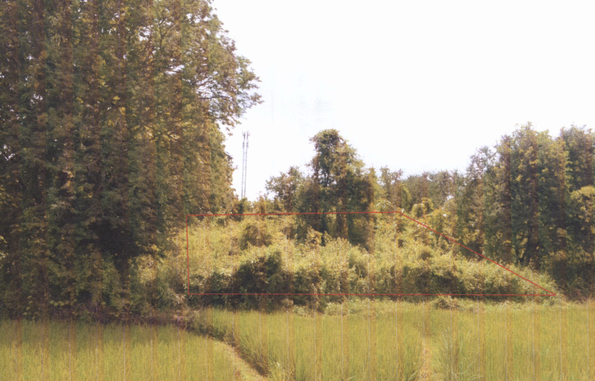 Residential land/lot Nan Na Noi Sathan 37000