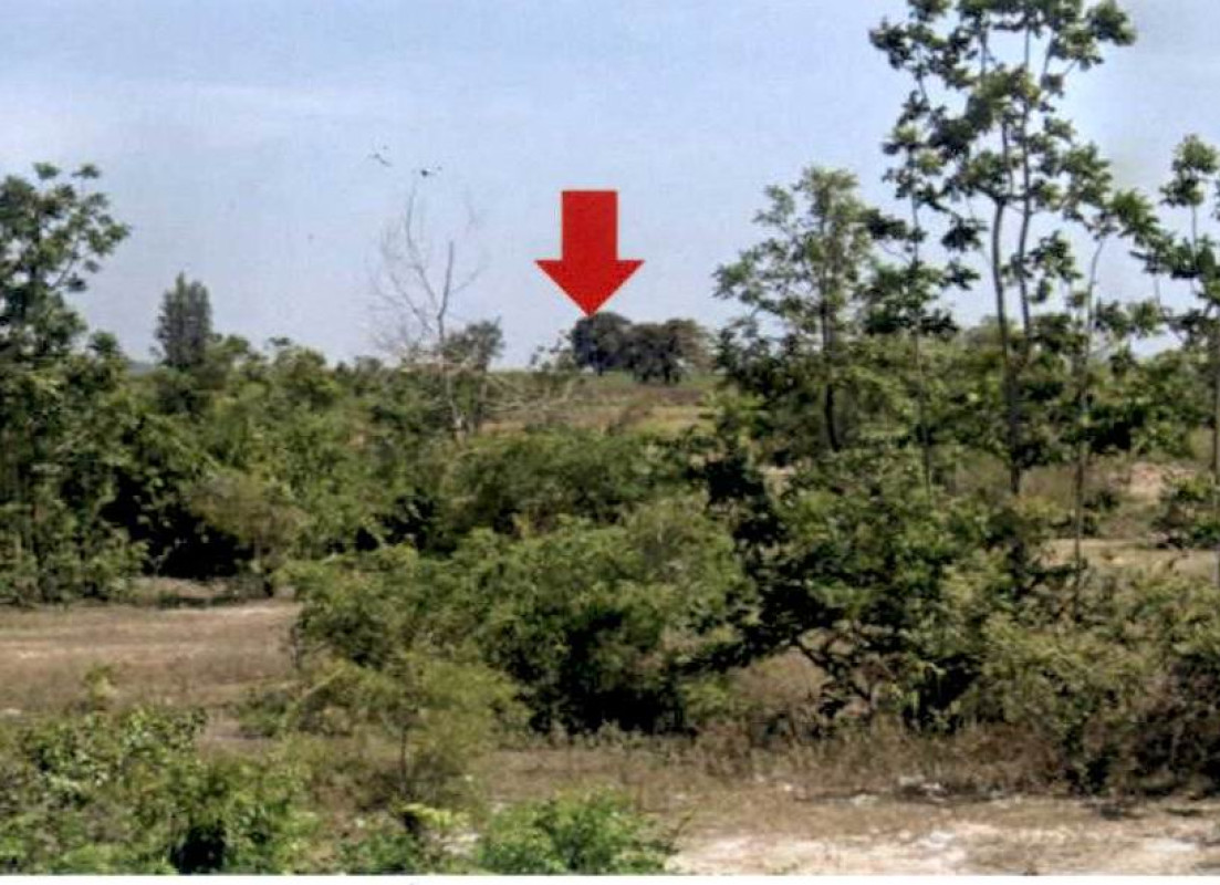 Residential land/lot Phetchaburi Cha-am Huai Sai Nuea 1948700