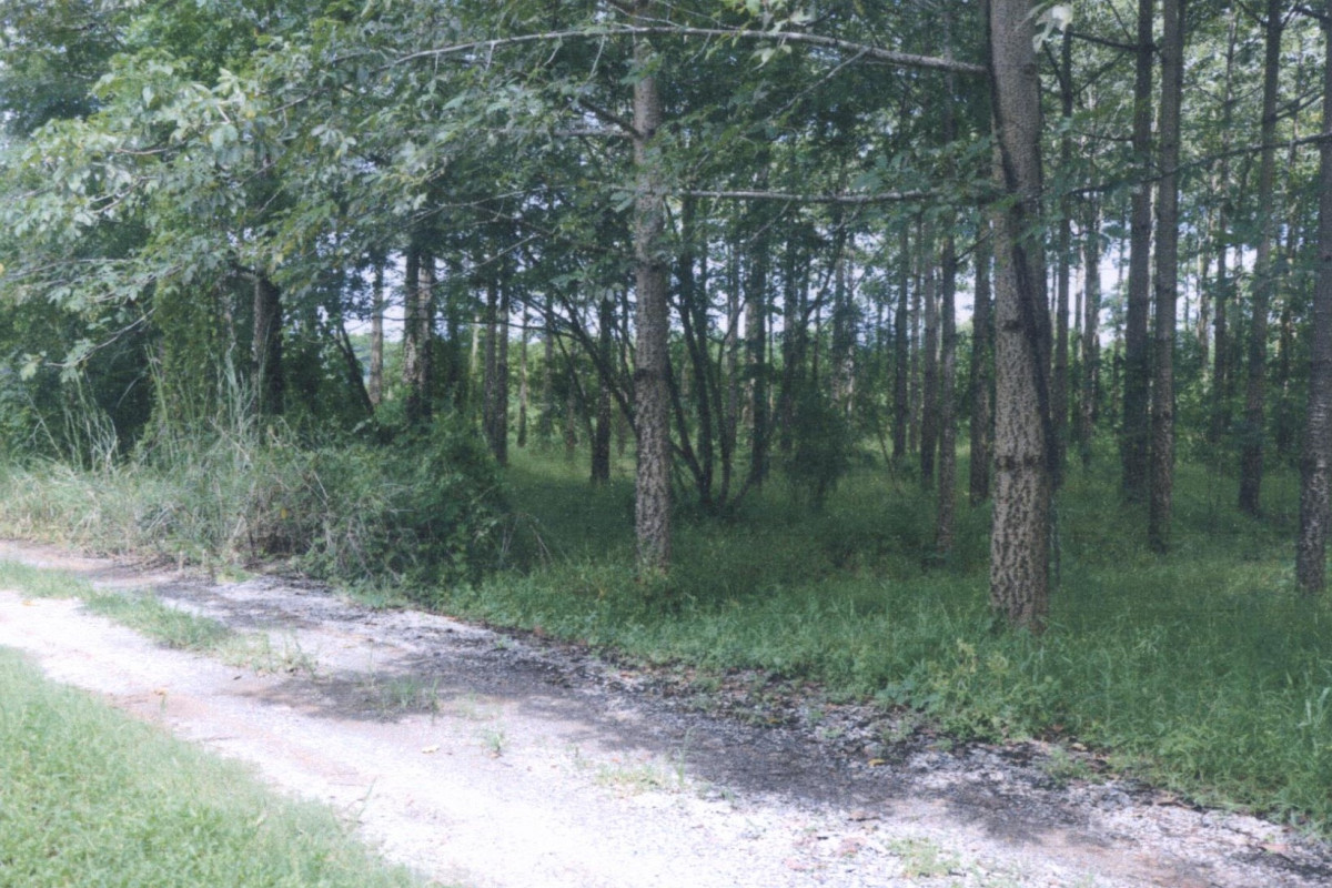 Residential land/lot Phrae Mueang Phrae Thung Kwao 262800