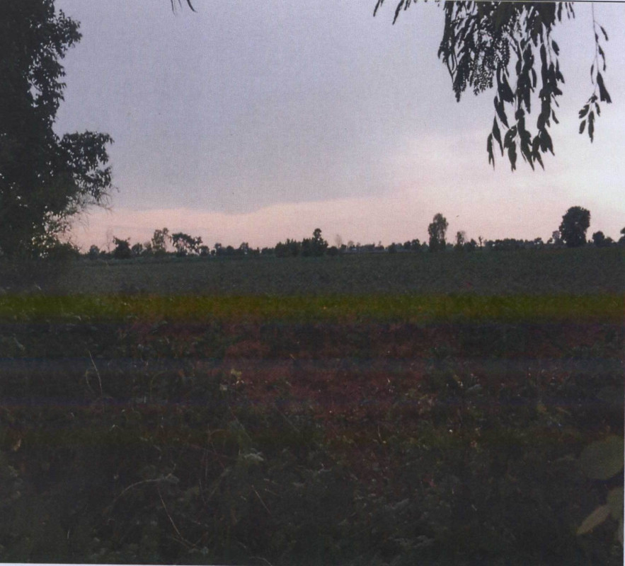 Residential land/lot Nakhon Ratchasima Dan Khun Thot Ban Kao 144480