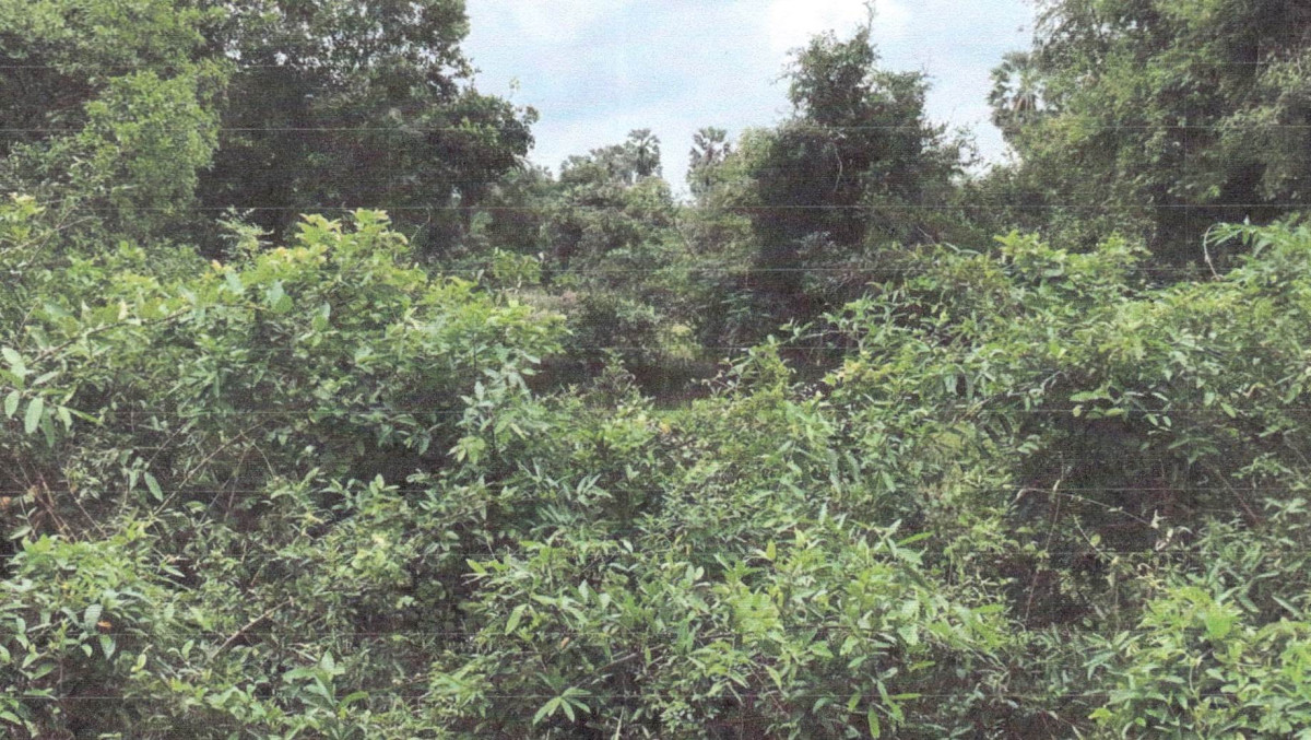 Residential land/lot Pattani Panare Ban Nok 25200