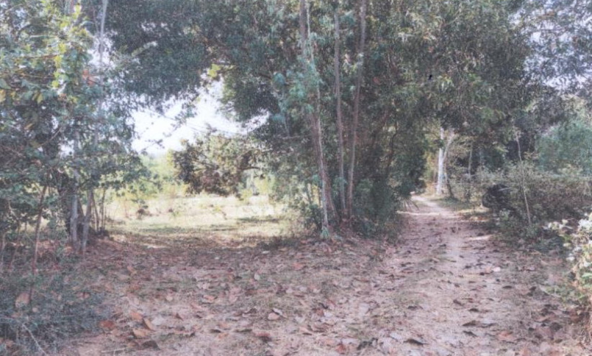 Residential land/lot Ubon Ratchathani Khueang Nai Hua Don 1041900