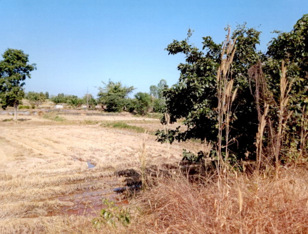 Residential land/lot Kalasin Somdet Saeng Badan 537200