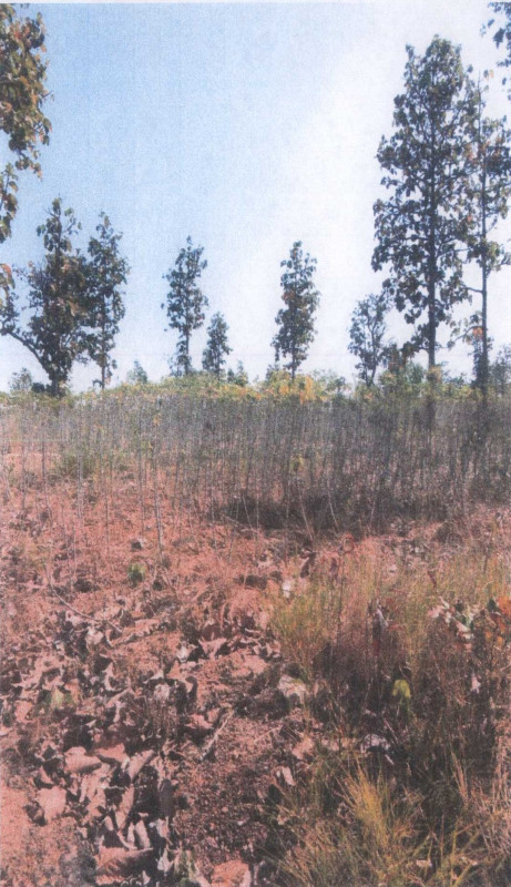 Residential land/lot Ubon Ratchathani Khemarat Nong Nok Tha 543000