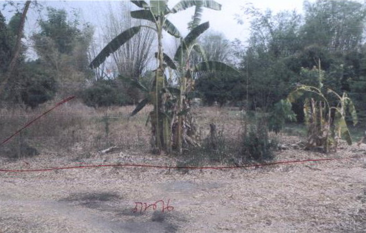 Residential land/lot Chiang Mai Phrao Pa Tum 141600