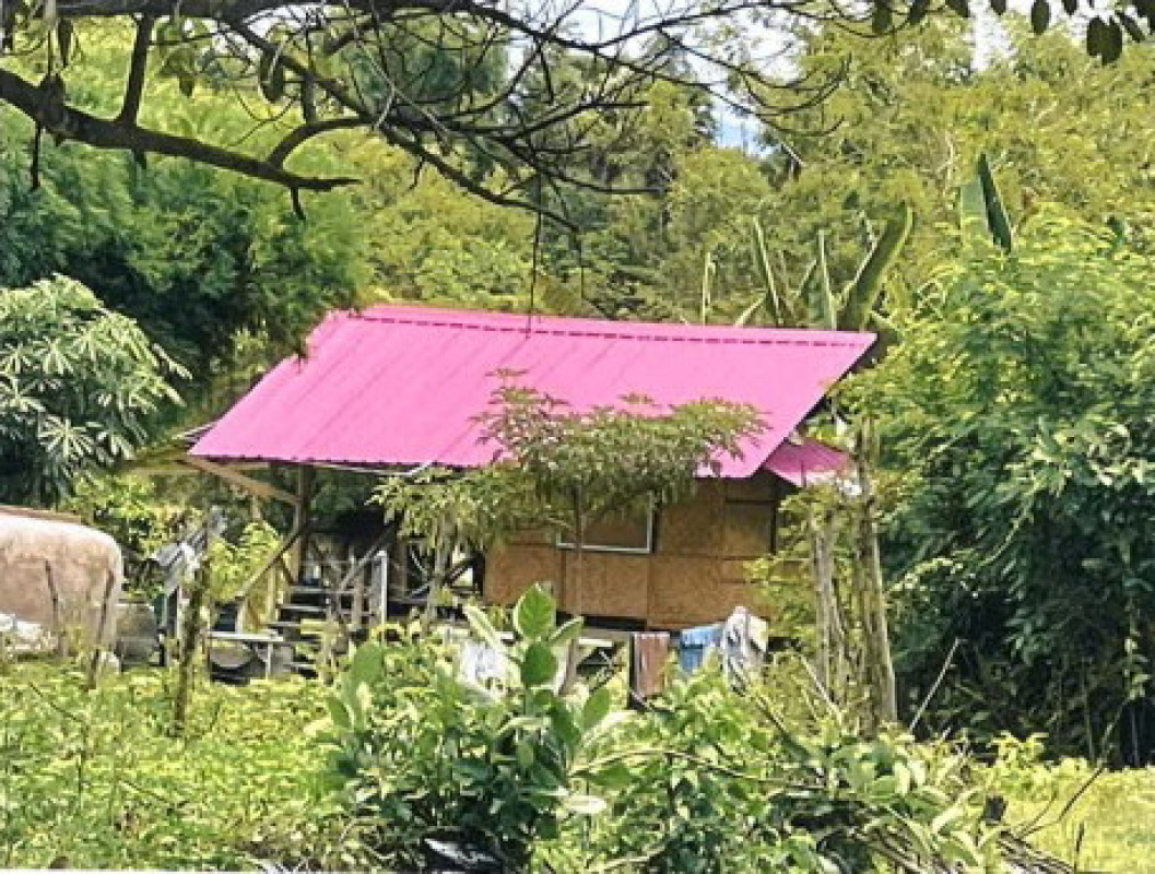 บ้านเดี่ยว กาฬสินธุ์ สมเด็จ หมูม่น 206000