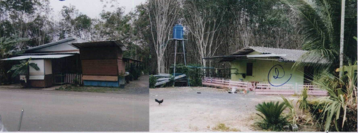 บ้านเดี่ยว ตรัง นาโยง นาหมื่นศรี 702760