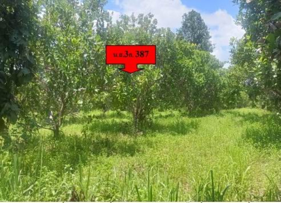 Residential land/lot Ubon Ratchathani Sirindhorn Kham Khuean Kaeo 122100